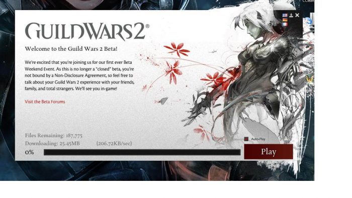Download Guild Wars 2 Offline Installer